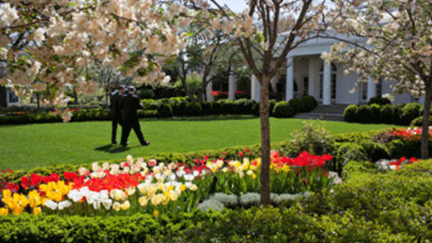 obama rose garden