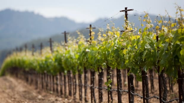 Wine Tasting in California May Never be the Same