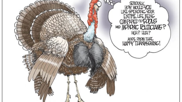 white house turkey