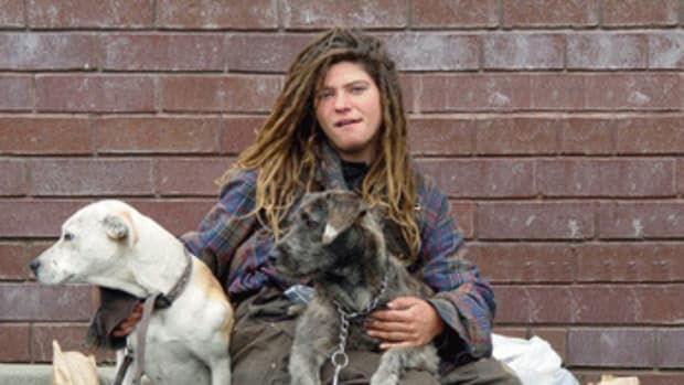 homeless with dogs