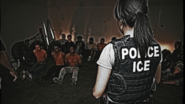 Immigration Criminal Convictions