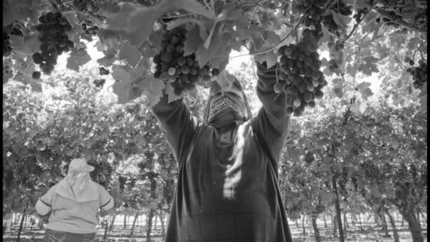 Farmworker Overtime Pay Bill