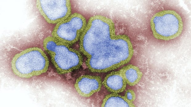 An End to the Flu? Discovery Blocks Influenza Virus’ Replication in Cells