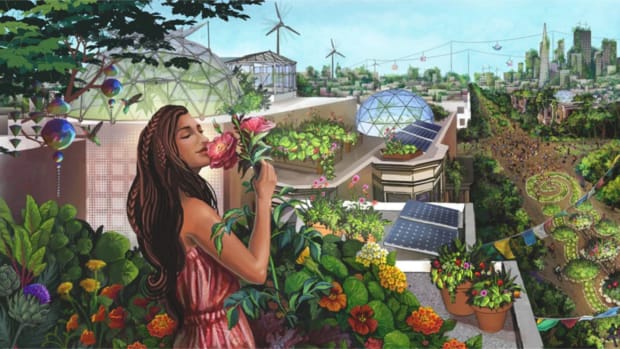 Solarpunk Offers Radical Hope in Capitalist Dystopia
