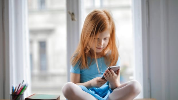 The plan to blow up the Internet, ostensibly to protect kids online