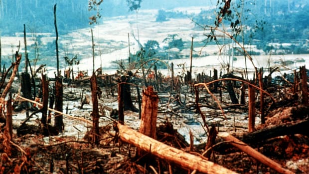amazon deforestation 2000