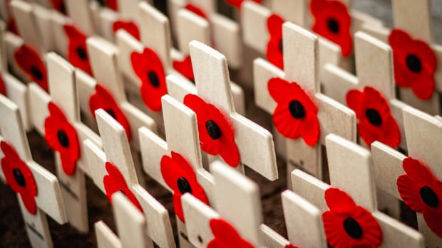 Armistice Day: Soldiers and Vets for Peace