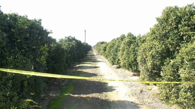 Unincorporated Communities Left to Die, Literally