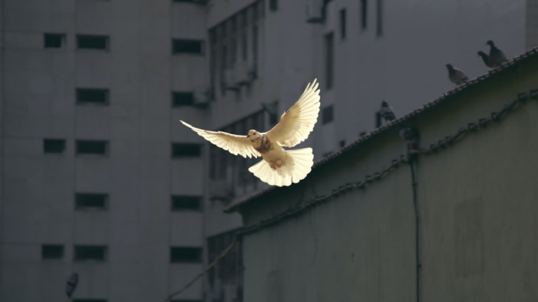 Real Change on the Brink for a Living Planet