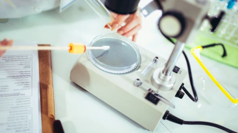 Propelling Women Forward: Which Female Leaders Are Changing the Face of STEM?