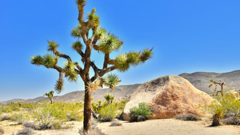 How to Plan the Ultimate Road Trip From LA to Vegas