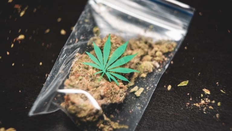 Drug Reform Won a Clean Sweep in the 2020 Election