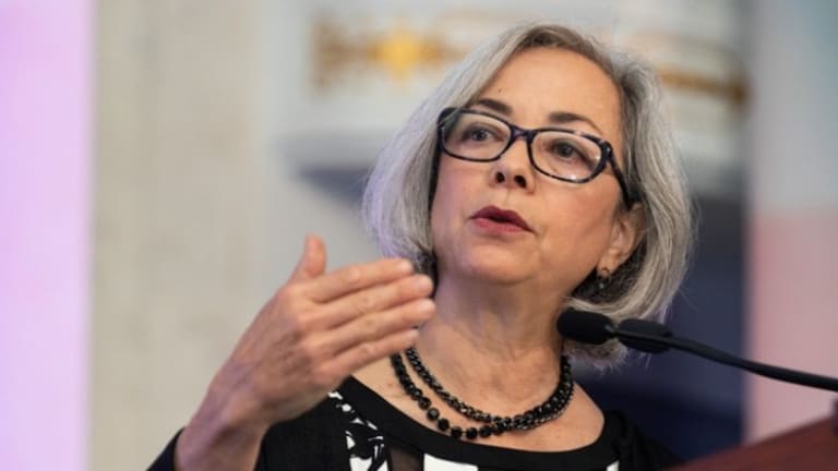 Economist Thea Lee: ‘They're Building the Plane as It's Flying’