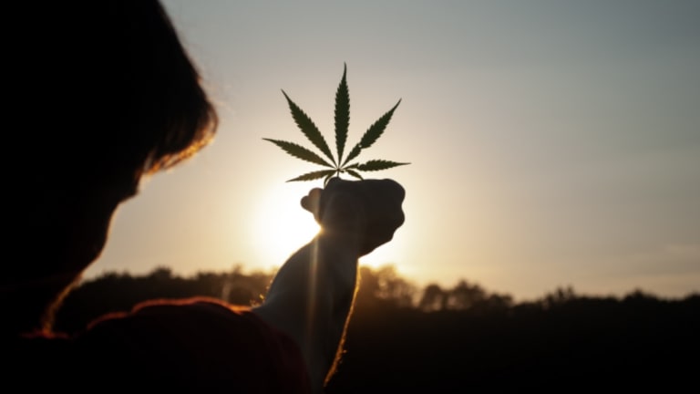 5 States That Might Legalize Marijuana in 2021