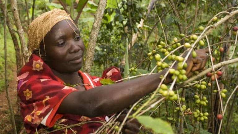 Fair-Minded People Should Support Fair Trade