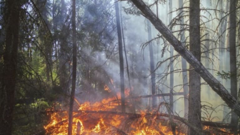 On Fire in This Dead Heat: It Is Too Late to Leave
