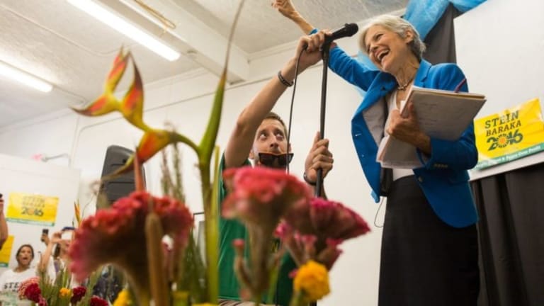 An Open Letter to the Green Party About 2020 Election Strategy