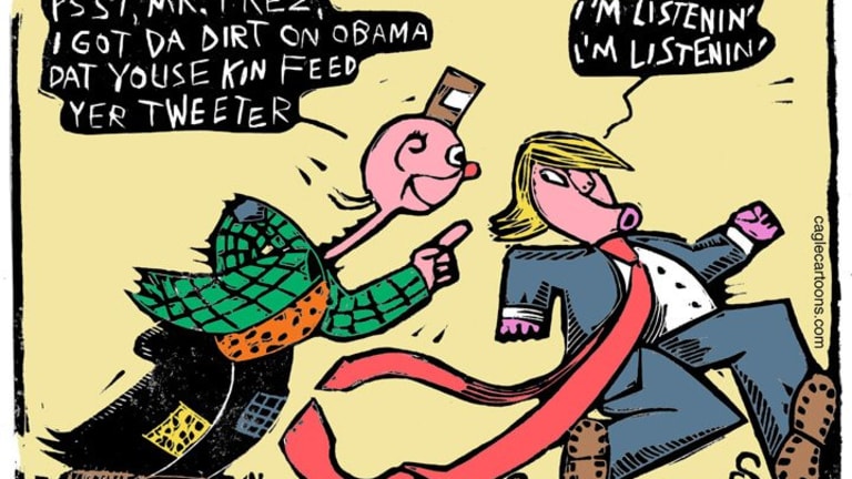 Surviving the Trump Trainwreck