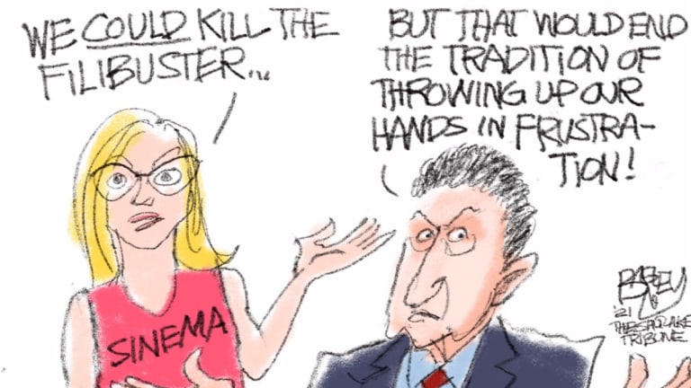 Only Forceful Action Can Save American Democracy