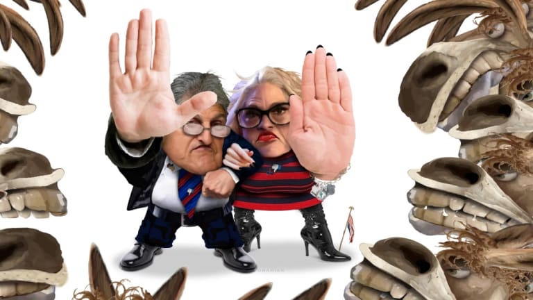 Our Chance to Reverse Democracy's Decline
