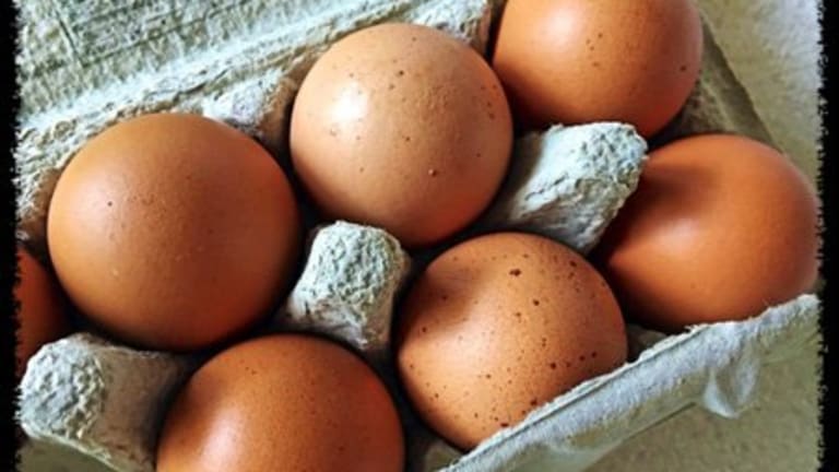 Organic Eggs…Or Are They?