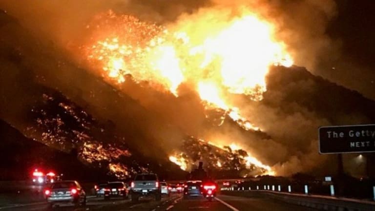 California Is Burning: How Can It Stay Golden?