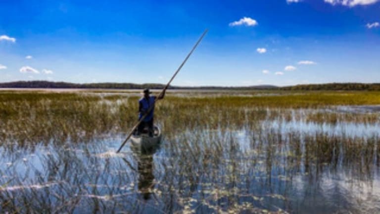 Akiing: Where the Wild Rice Grows