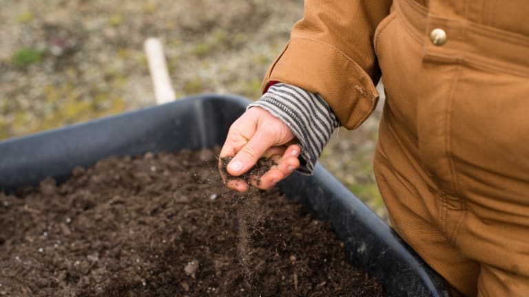 Climate Change and Soil Science in 2021