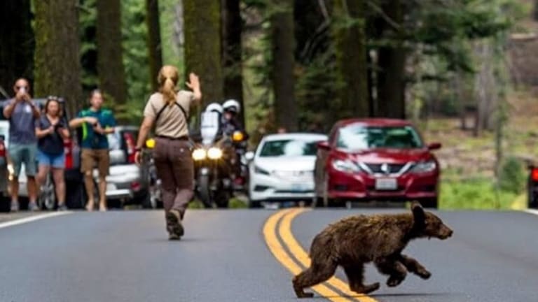 Yosemite Is Not for Claustrophobes