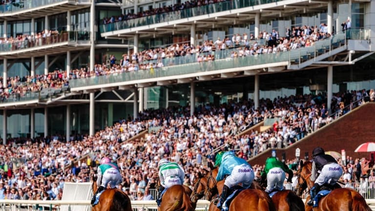 Mistakes to Avoid While Betting on Sports Online