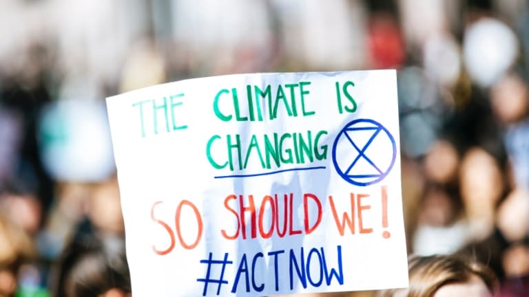 The Movement: Embracing Ecological Realism