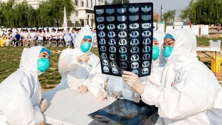 Why Did the World Health Organization Wait?