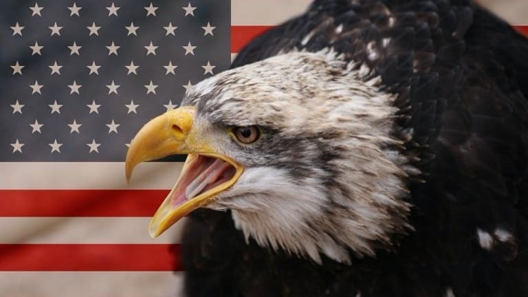 The Terrible Reason Why Americans Are More Engaged in Politics than Ever