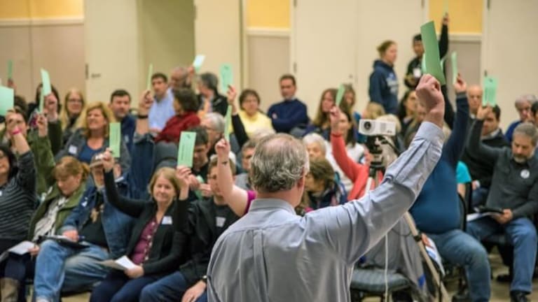 Politicians or the Grassroots: Who Should Lead the California Democratic Party?