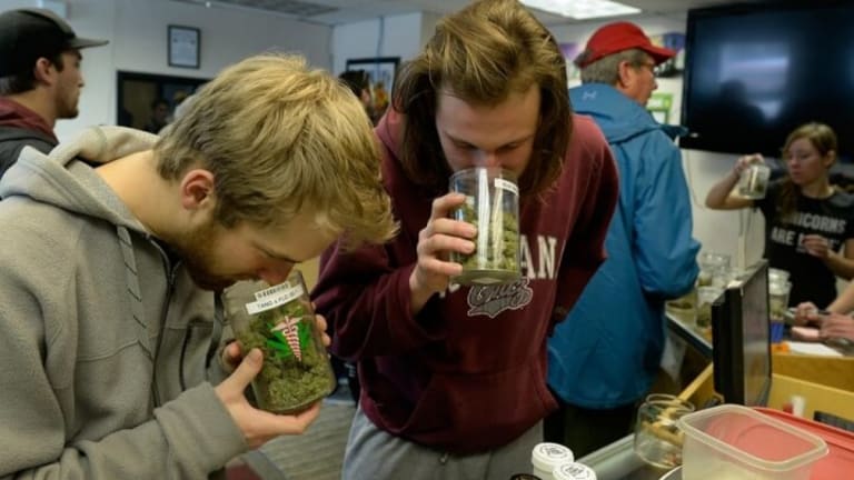 Weed