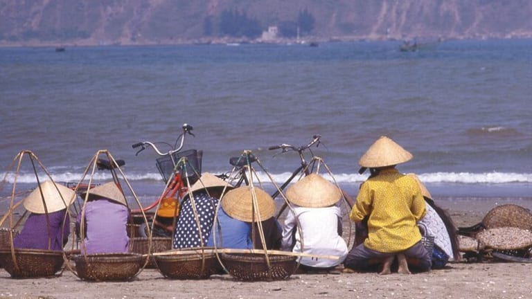 Resistance in the Womb – Vietnam Is in My DNA