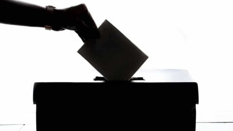 November Election Sneak-Peek
