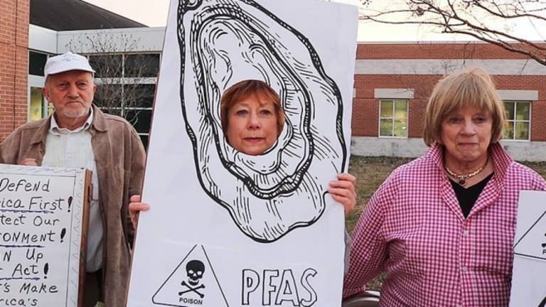 Navy Causing Widespread Contamination of Oysters, Fish and Crabs