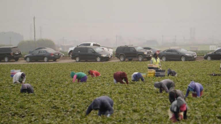 Day Labor: Unspoken Second Responders to Disaster