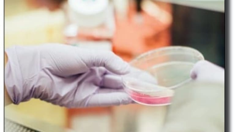 Who Deserves the Nobel Peace Prize in the Time of Pandemic?