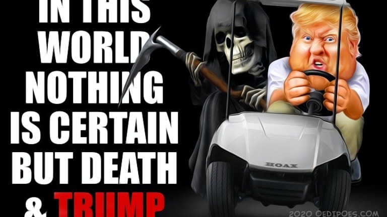Has Trumpism Brought Democracy to Its Knees?