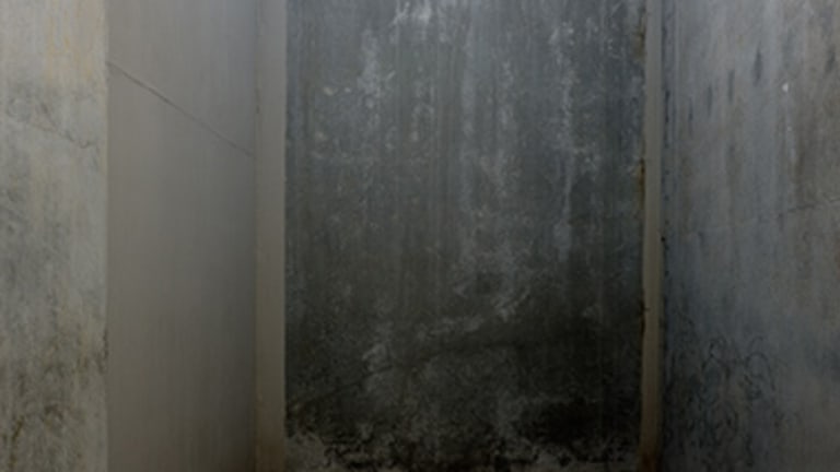 Solitary Confinement from Pelican Bay to Guantanamo Bay