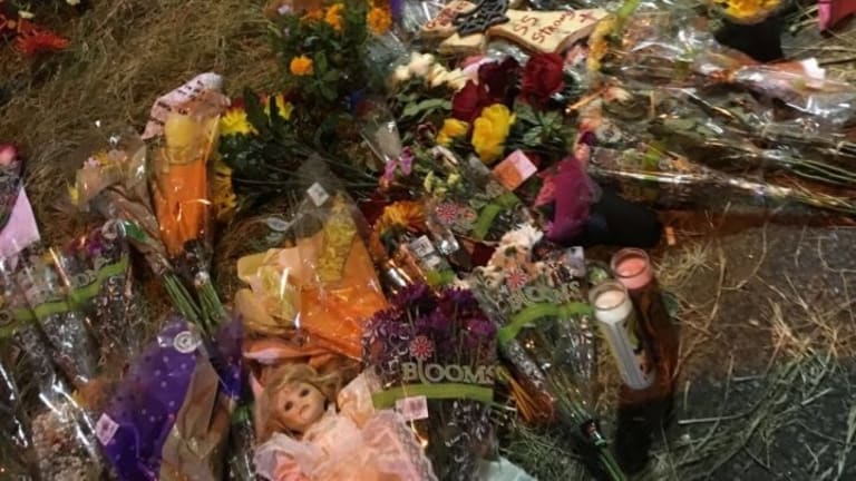 Is Military Service a Factor in Creating Mass Shooters?