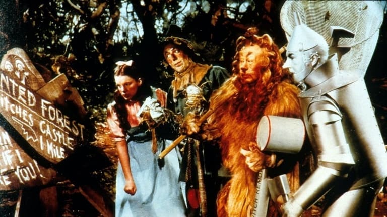 Lions, Tigers, and Bears: What Could be Crazier?