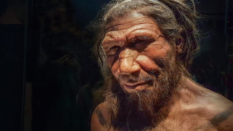 Neanderthals Reject Thoughtless Stereotyping