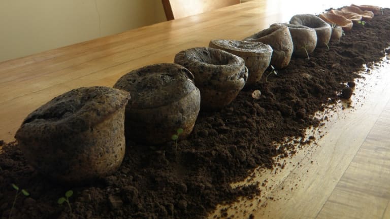 From Popovers to Popunders: The Kind of Decarbonization That Can Succeed