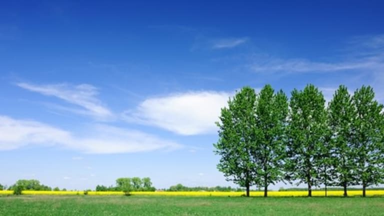 The American Dream: Deferred for Now but Not Forever