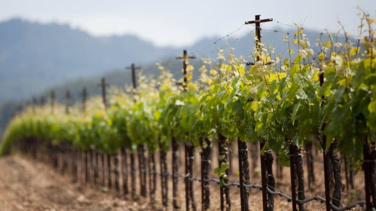 Wine Tasting in California May Never Be the Same