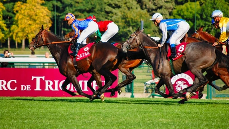 All You Should Know About Horse Racing Bets