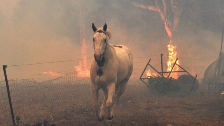 Could the Climate Crisis Be “The Good News of Damnation”?